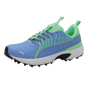 Puma Men's Cricket Square Cricket Shoe