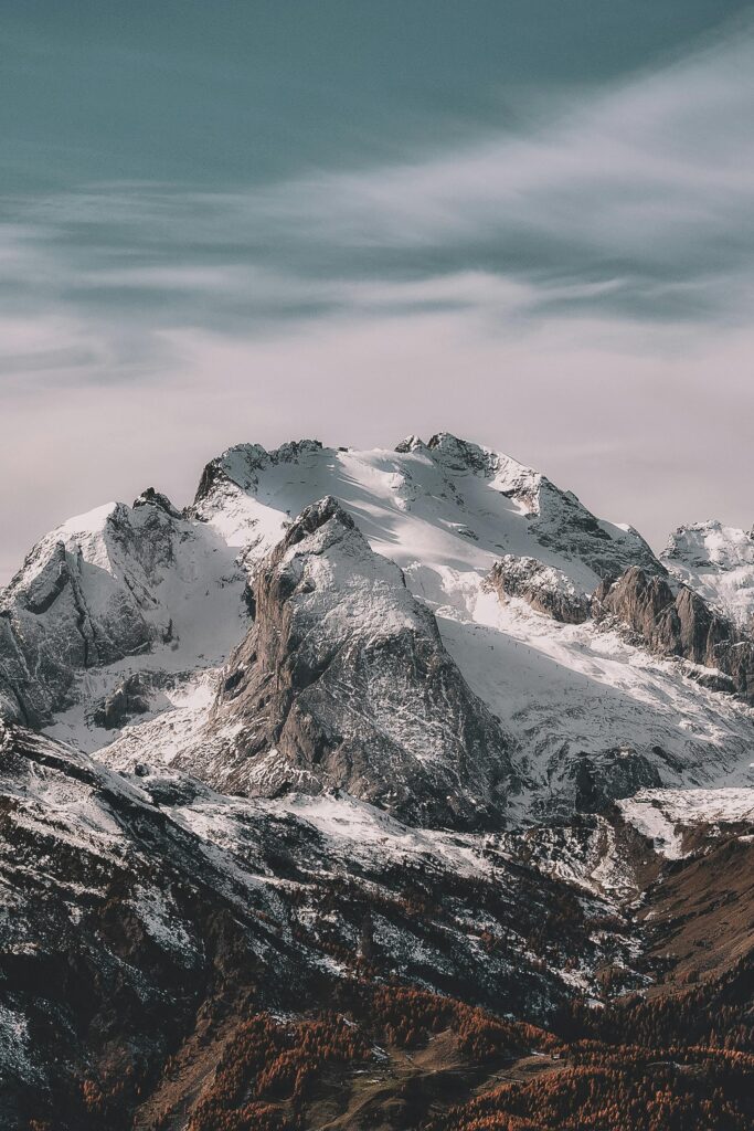 Pexels Eberhardgross 1366919 683x1024